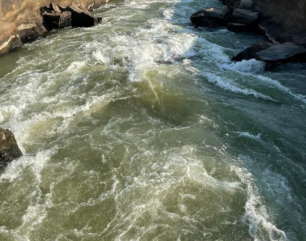 Rio Madeira fica verde durante seca extrema — Foto: Redes Sociais