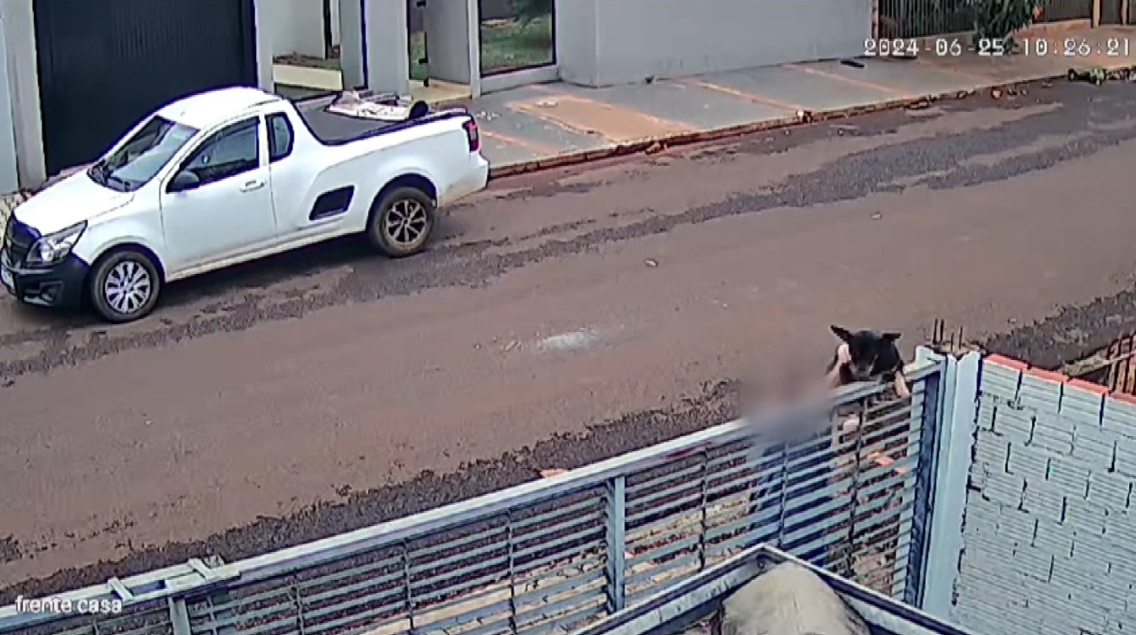 VÍDEO: Idoso arremessa cadela por cima de portão e será indiciado por maus-tratos no Paraná, diz delegado