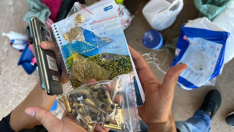 Ouro e cápsulas de balas apreendidos pela PF. — Foto: Divulgação