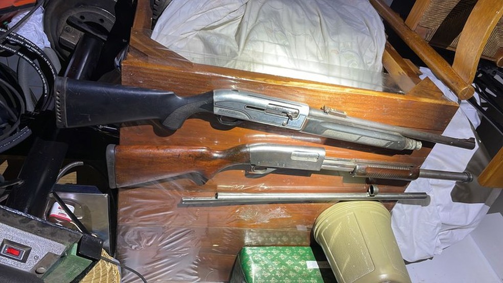 Armas foram apreendidas durante mandados de busca. — Foto: Divulgação/PF