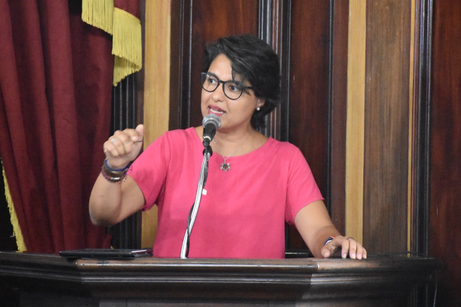 Câmara Municipal de Petrópolis aprova Projeto de lei que veda nomeação de condenados por injúria racial e racismo na administração pública 