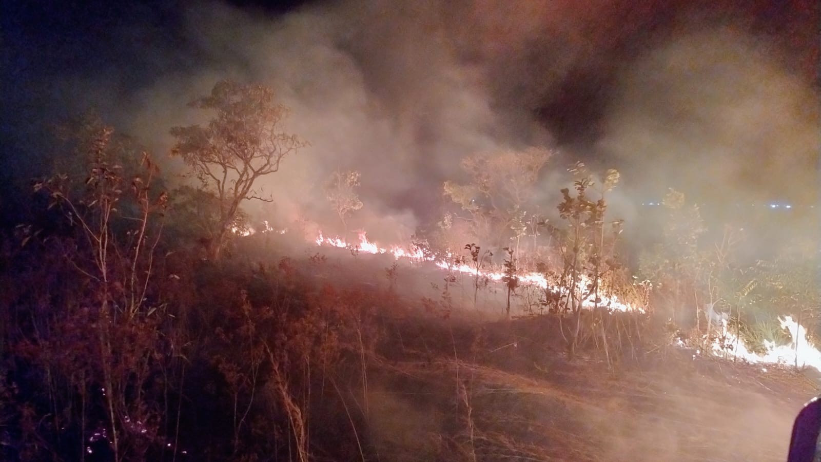 Área de preservação é incendiada duas vezes em menos de 24h em MT
