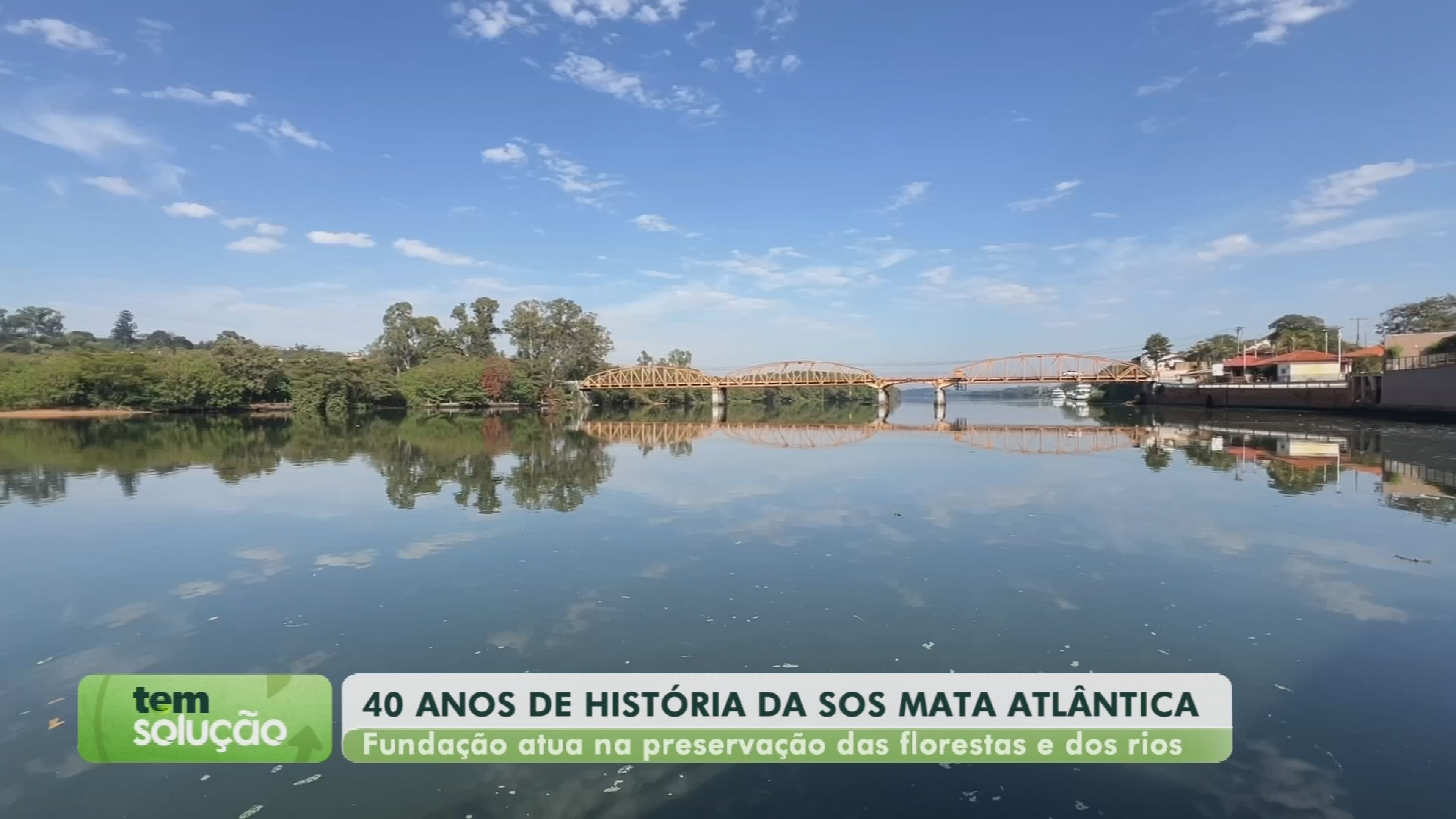 Tem Solução: SOS Mata Atlântica completa 40 anos com projetos de recuperação de rios e florestas  