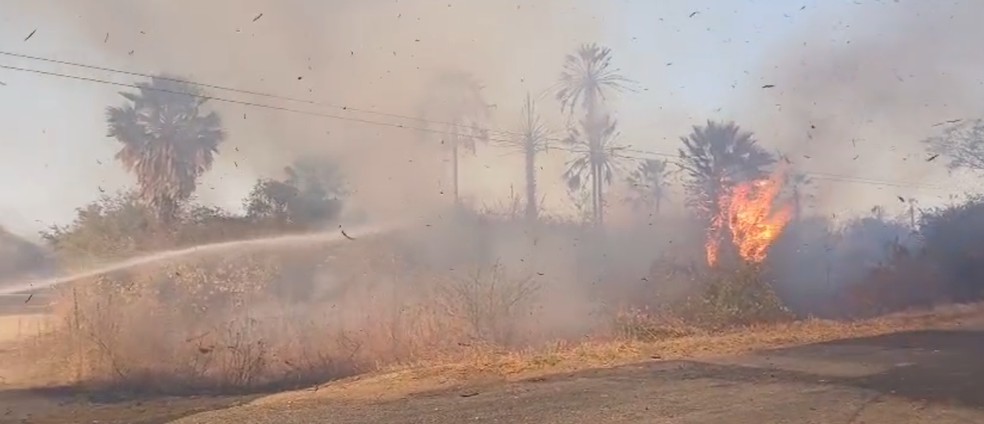 Bombeiros atuaram por 4 horas para combater as chamas em Apodi — Foto: Reprodução/Inter TV Cabugi