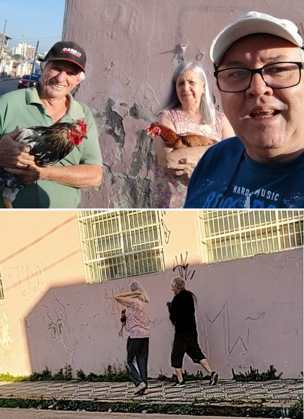 Passeio foi registrado pelo vizinho, o delegado Acácio Leite — Foto: Acácio Leite/Arquivo pessoal