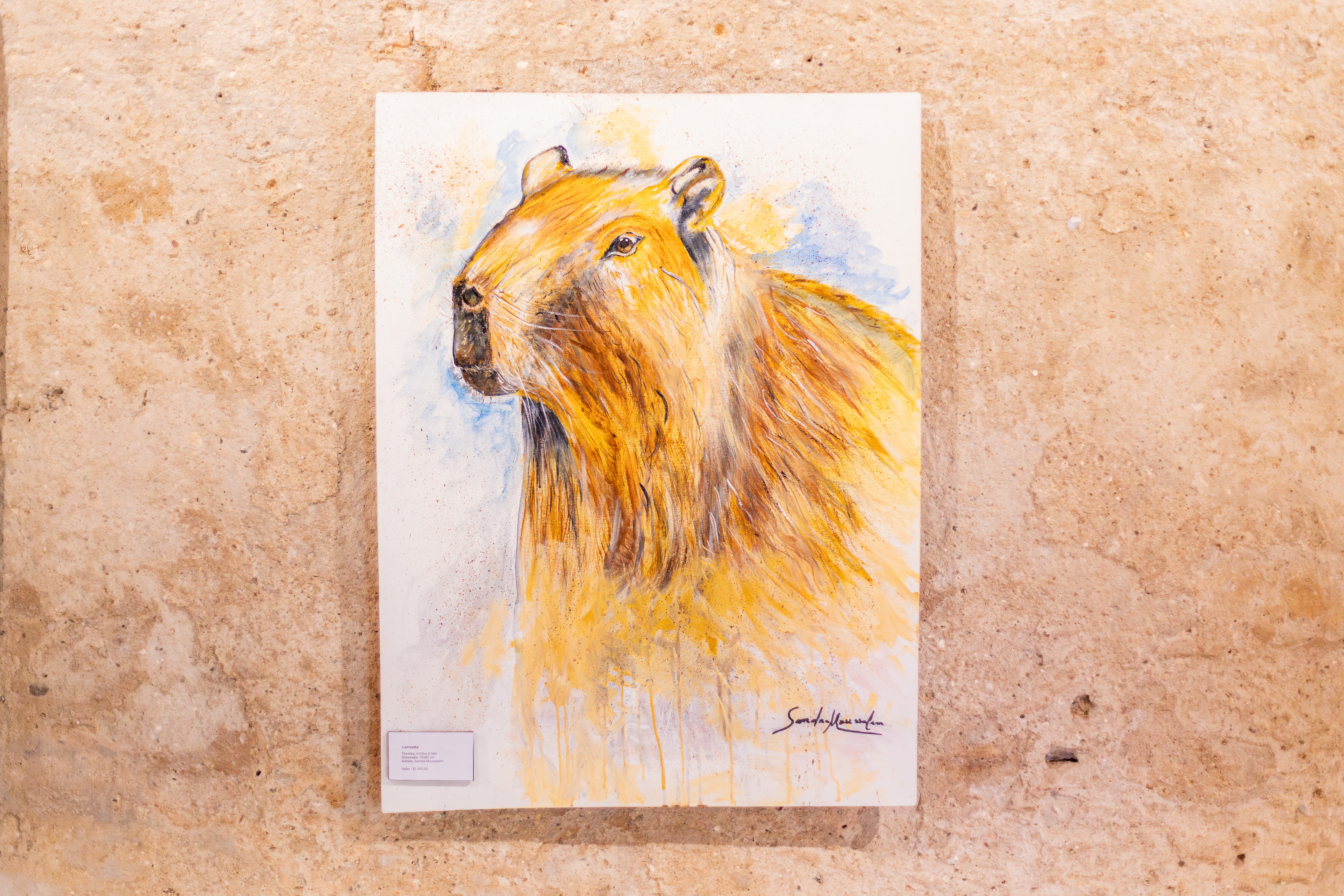 'Cuiabá em Cores': exposição reúne 24 artistas em mostra gratuita na capital