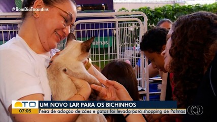 Feira de adoção de cães e gatos é realizada em shopping de Palmas