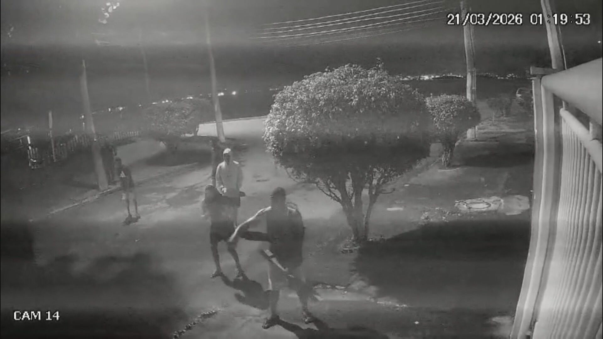 Polícia prende 6 homens e apreende 2 menores por agressão a capivara na Zona Norte do Rio