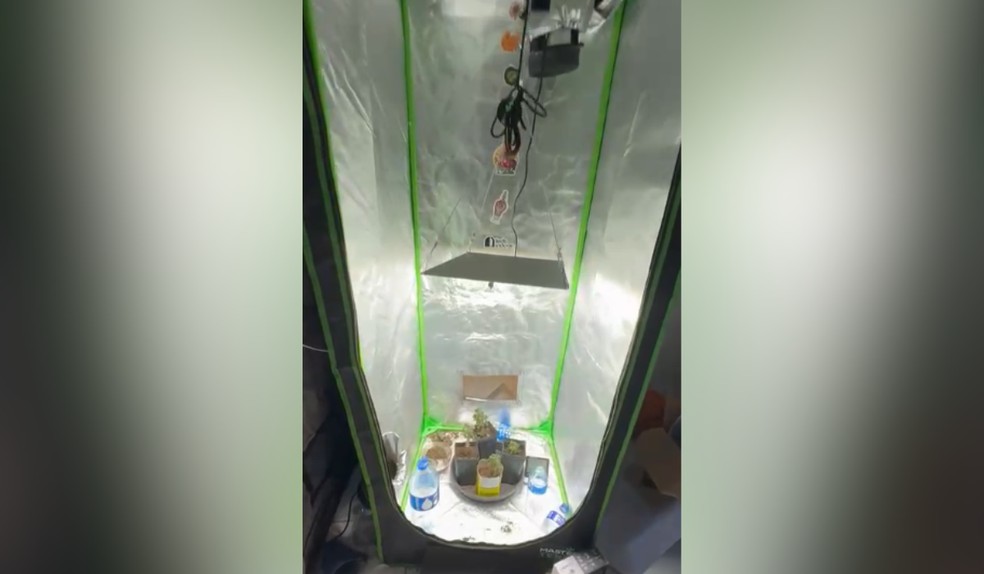 Laboratório de drogas em apartamento é desarticulado em operação da Polícia Civil em Presidente Prudente (SP) — Foto: Polícia Civil/Divulgação