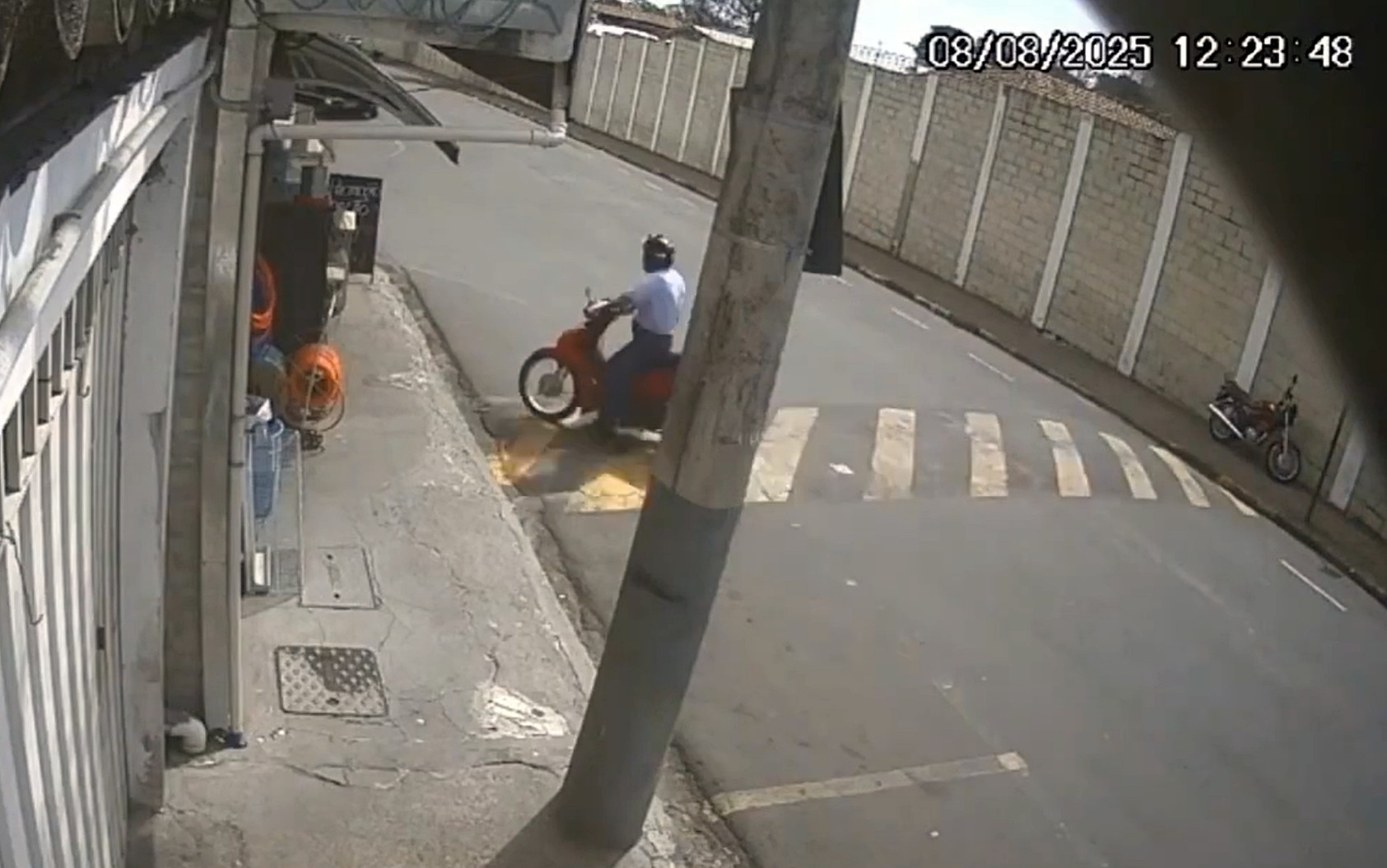 VÍDEO: Funcionário de pet shop solta mais de 50 pássaros após atingir gaiolas com moto em MG