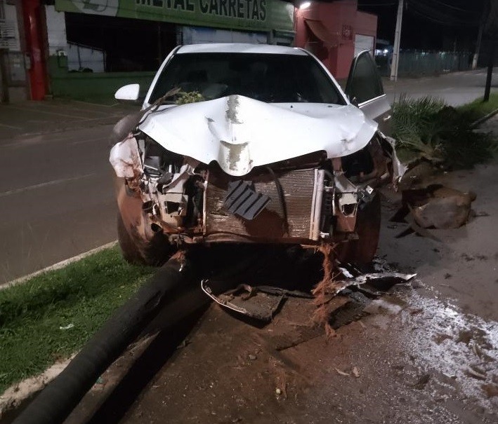 Carro perde o controle, invade canteiro e derruba coqueiros em avenida; veja vídeo