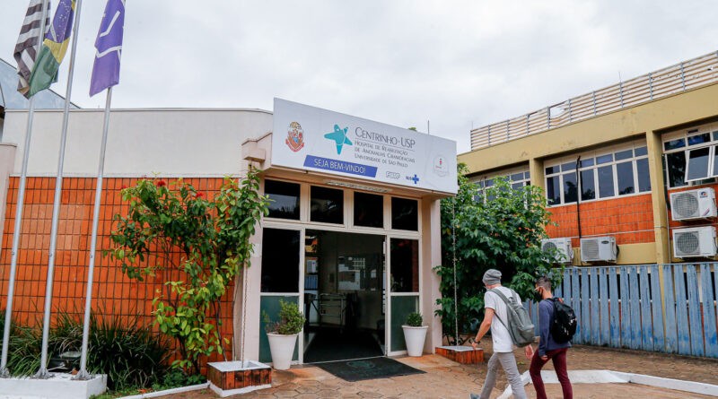 USP aprova criação da Faculdade de Medicina em Bauru | G1