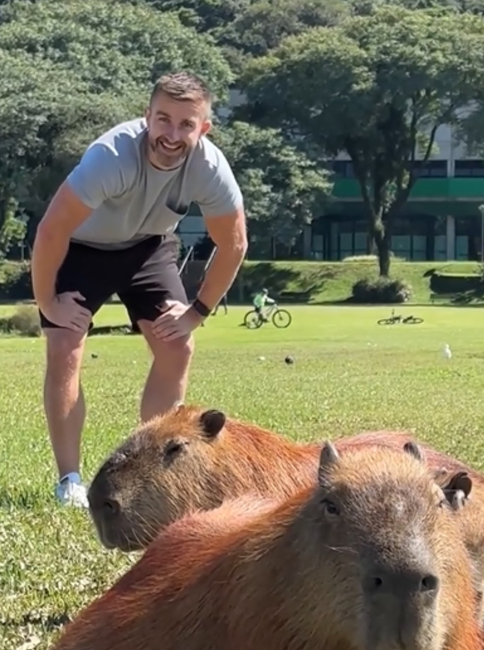 Nick Whincup e as capivaras do Parque Barigui, em Curitiba. — Foto: Redes sociais