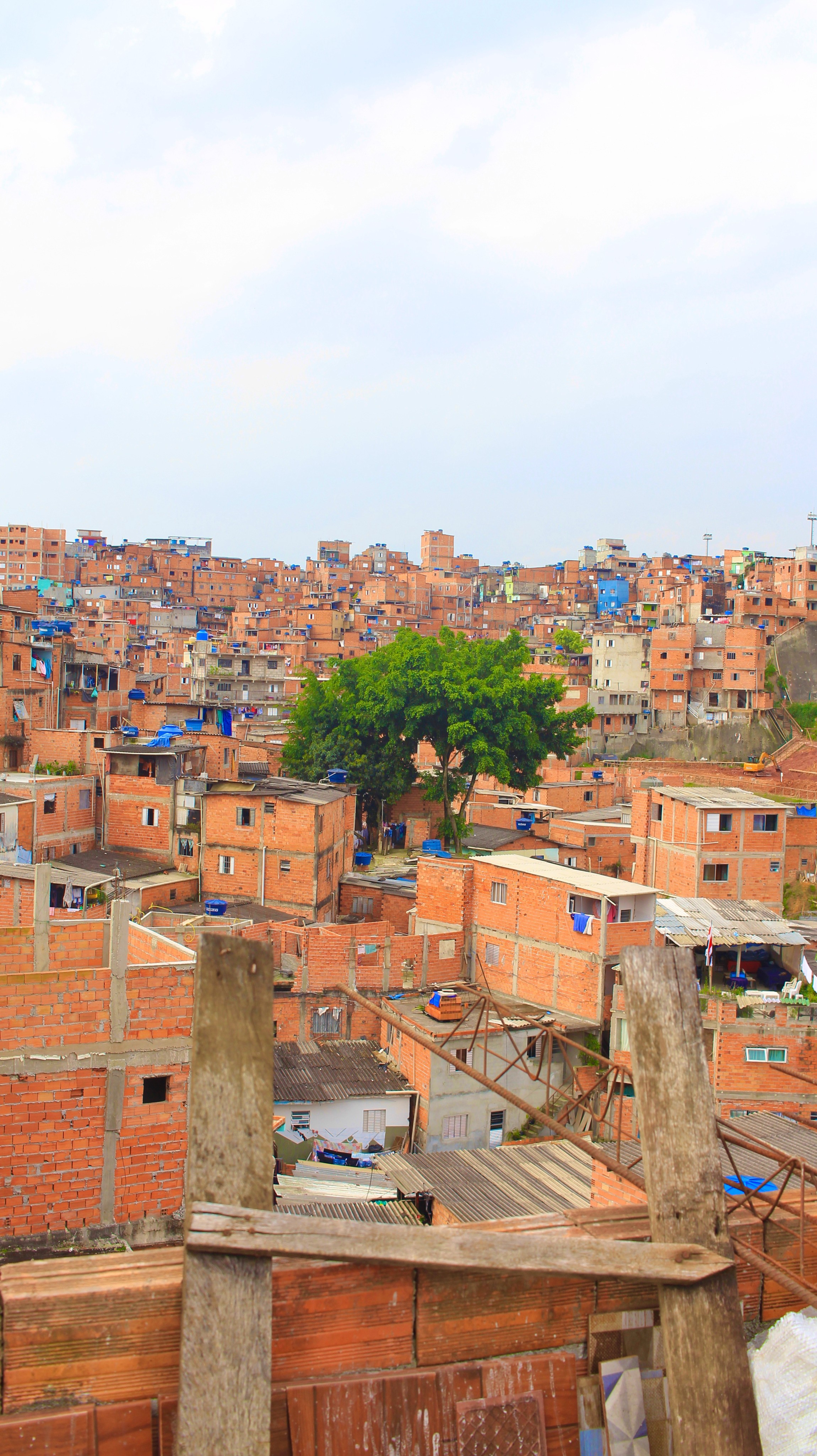Mutirão oferece atendimento neurológico para crianças e adolescentes em Paraisópolis, Zona Sul de SP