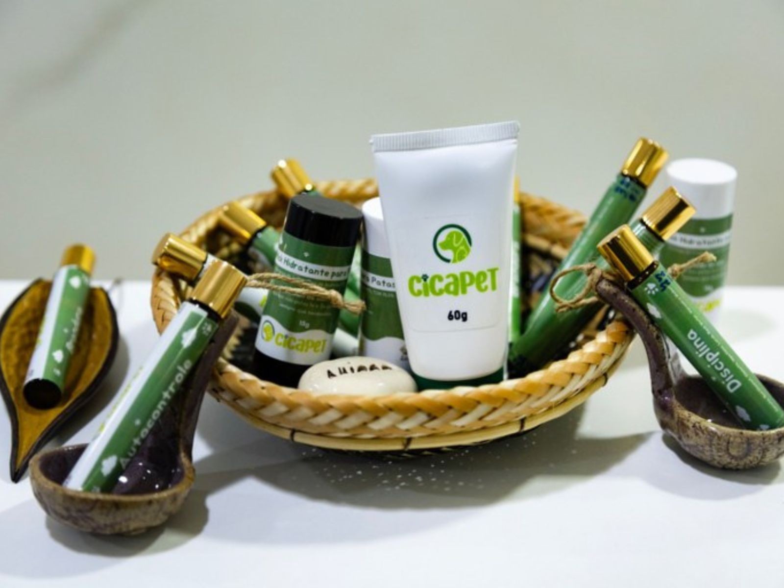 Pesquisadores do AC buscam patente de pomada que acelera cicatrização de feridas em animais 