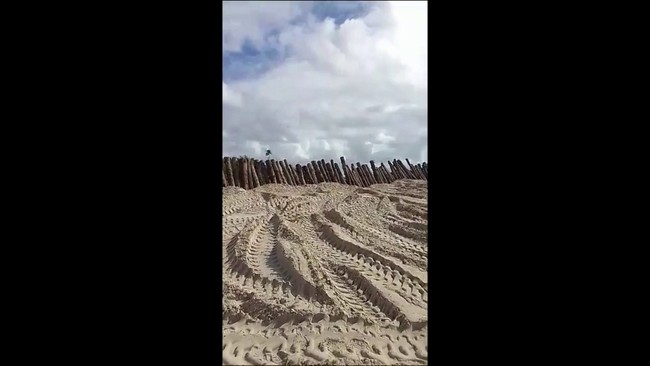 Trabalhadores reclamam de 'muro' construído na Praia de Maracaípe