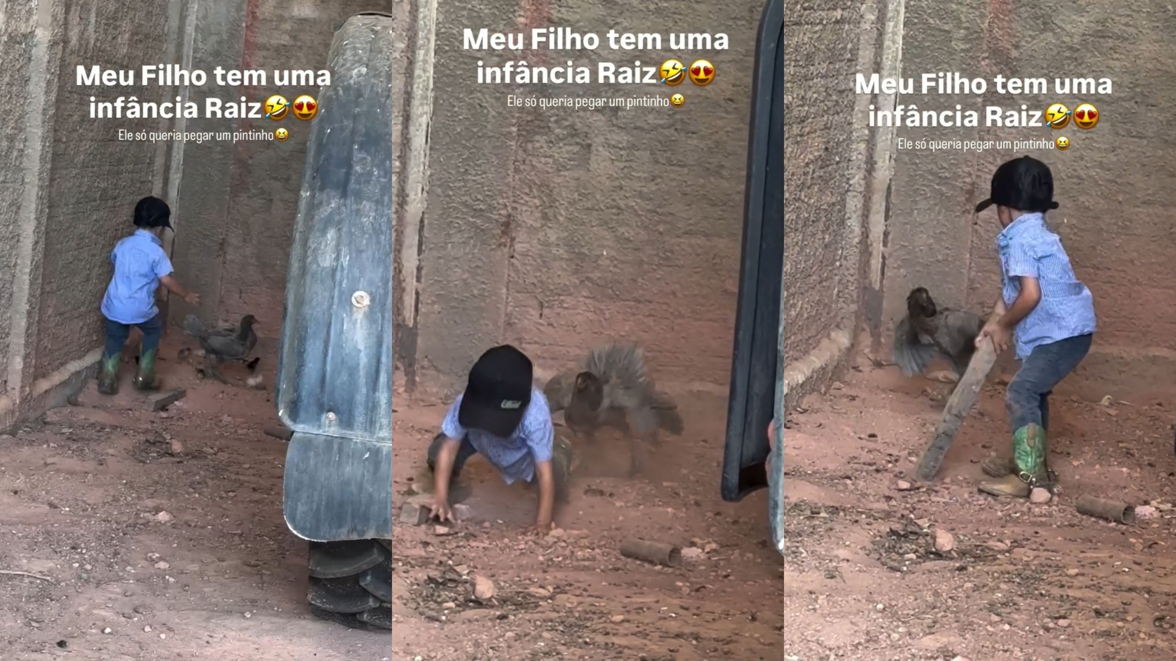 Pequeno ‘Cowboy’ viraliza em vídeo após confusão com galinha em Rondônia