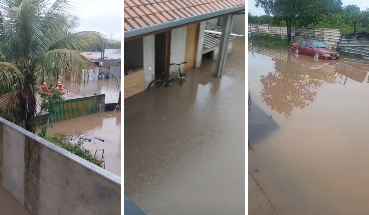 Chuva alaga rua de escola com 2,3 mil eleitores em Campinas e provoca quedas de árvores