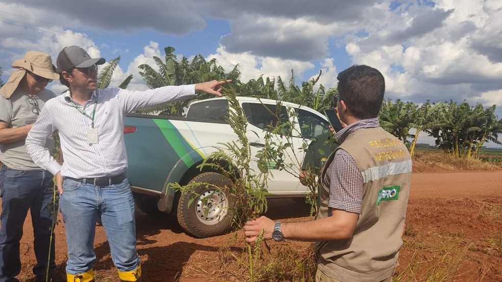 Iagro abre concurso em Mato Grosso do Sul. — Foto: Iagro/Reprodução