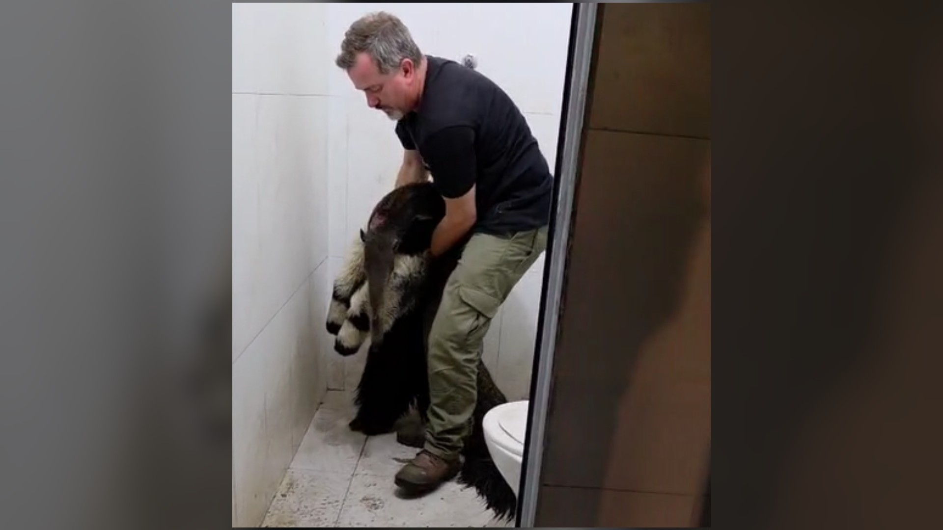 Você Não Tá Convidada pro Meu Bat Mitzvá!