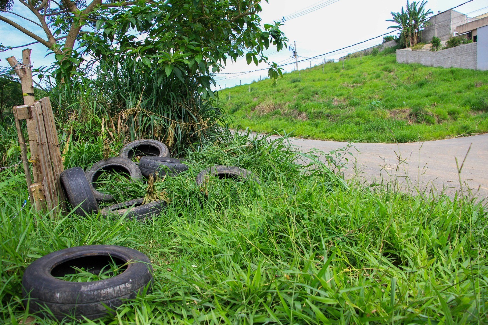 Prefeitura apura descarte irregular de pneus em área verde de Barra Mansa