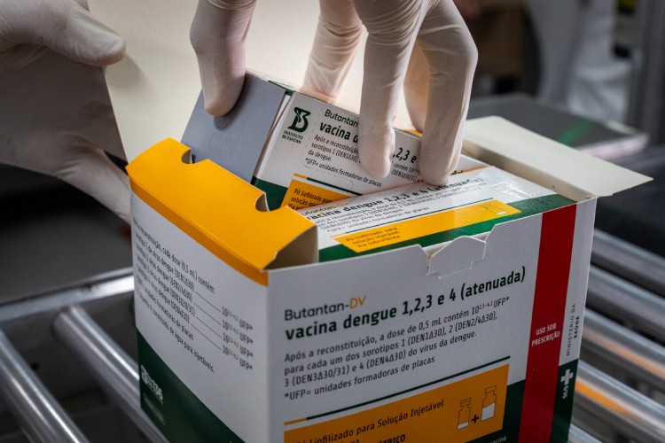 Vacina da dengue em dose única: Nova Lima será única cidade de MG a começar imunização em janeiro com esquema acelerado