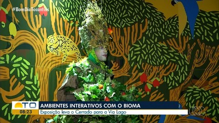 Exposição sobre o cerrado em Araguaína conta com ambientes interativos