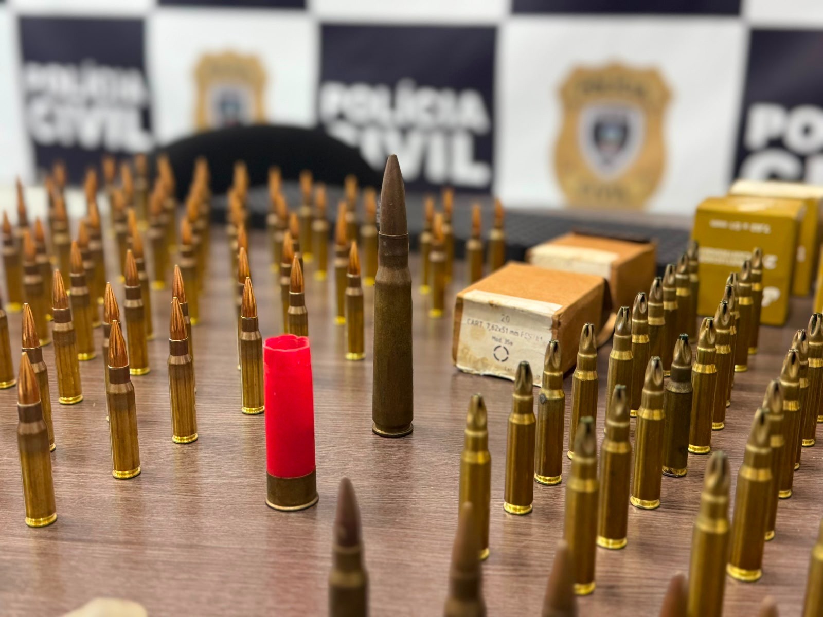 Polícia investiga depósito clandestino após apreen