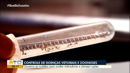 Governo planeja ações de controle à doenças vetoriais e zoonoses