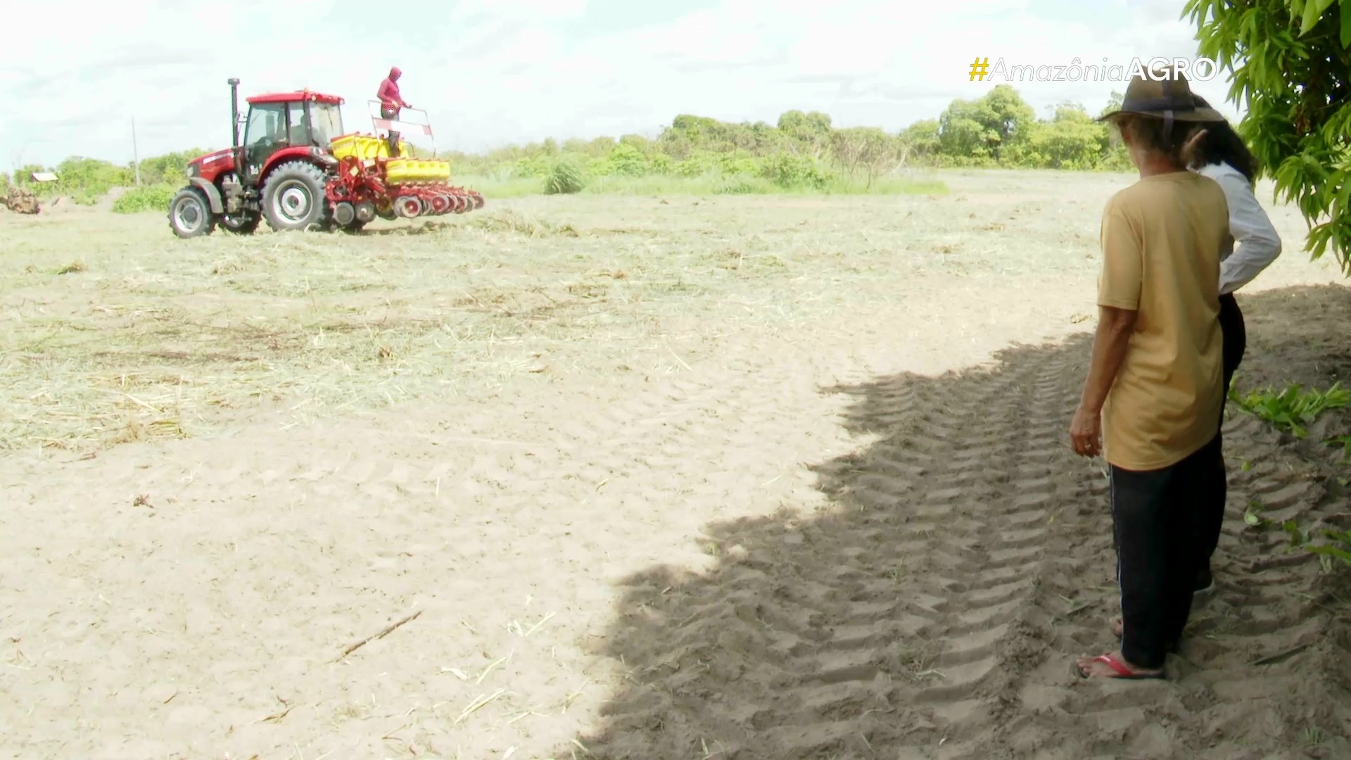 Agricultores apostam em plantio mecanizado para ampliar safra de milho em Boa Vista