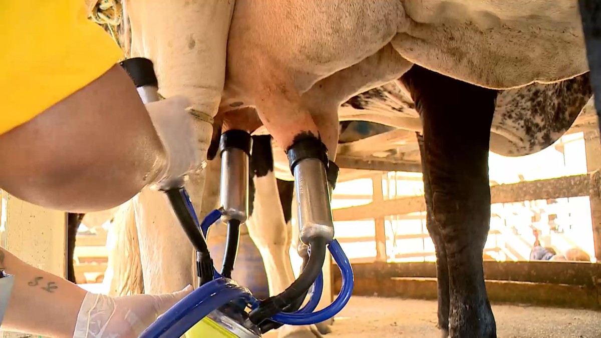 After six consecutive drops, the price of milk to producers has a third increase in January, according to USP