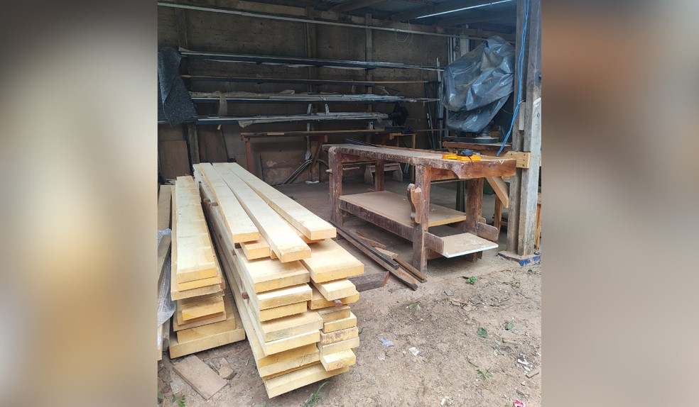 Dono de empresa de móveis é multado em R$ 2 mil por falta de licença para madeira nativa em Presidente Prudente — Foto: Polícia Militar Ambiental/Divulgação