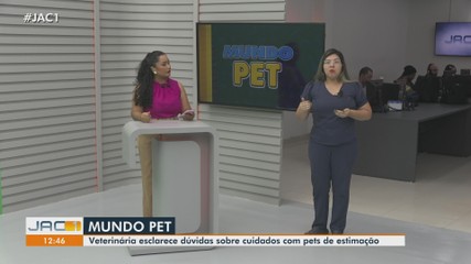Veterinária esclarece dúvidas sobre cuidados com pets de estimação