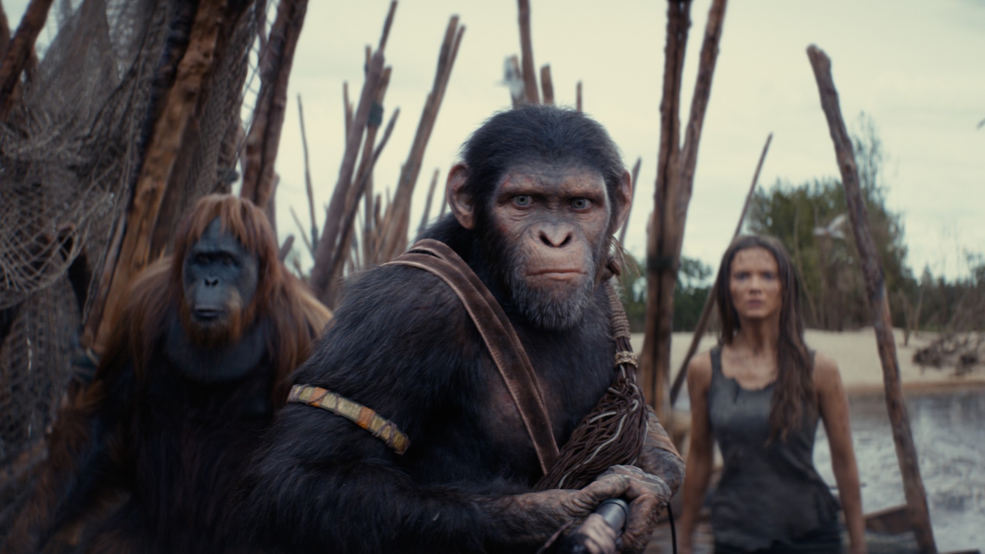 'Planeta Dos Macacos: O Reinado' estreia nos cinemas de São Luís; veja a programação