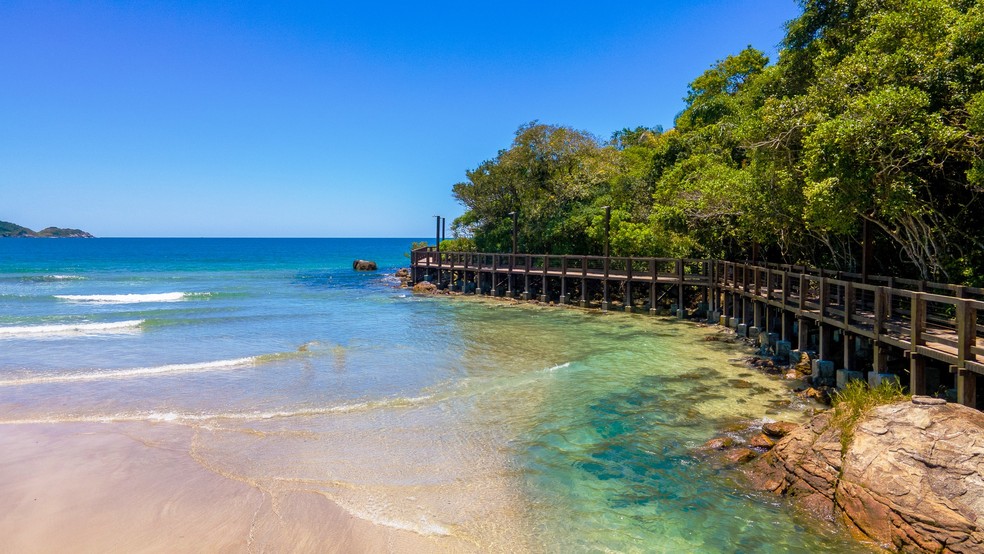 Quais são as praias mais limpas de Bombinhas? – Blog Vale del Sol