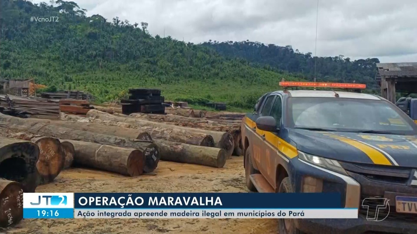 Operação Maravalha combate extração ilegal de madeira no oeste do Pará