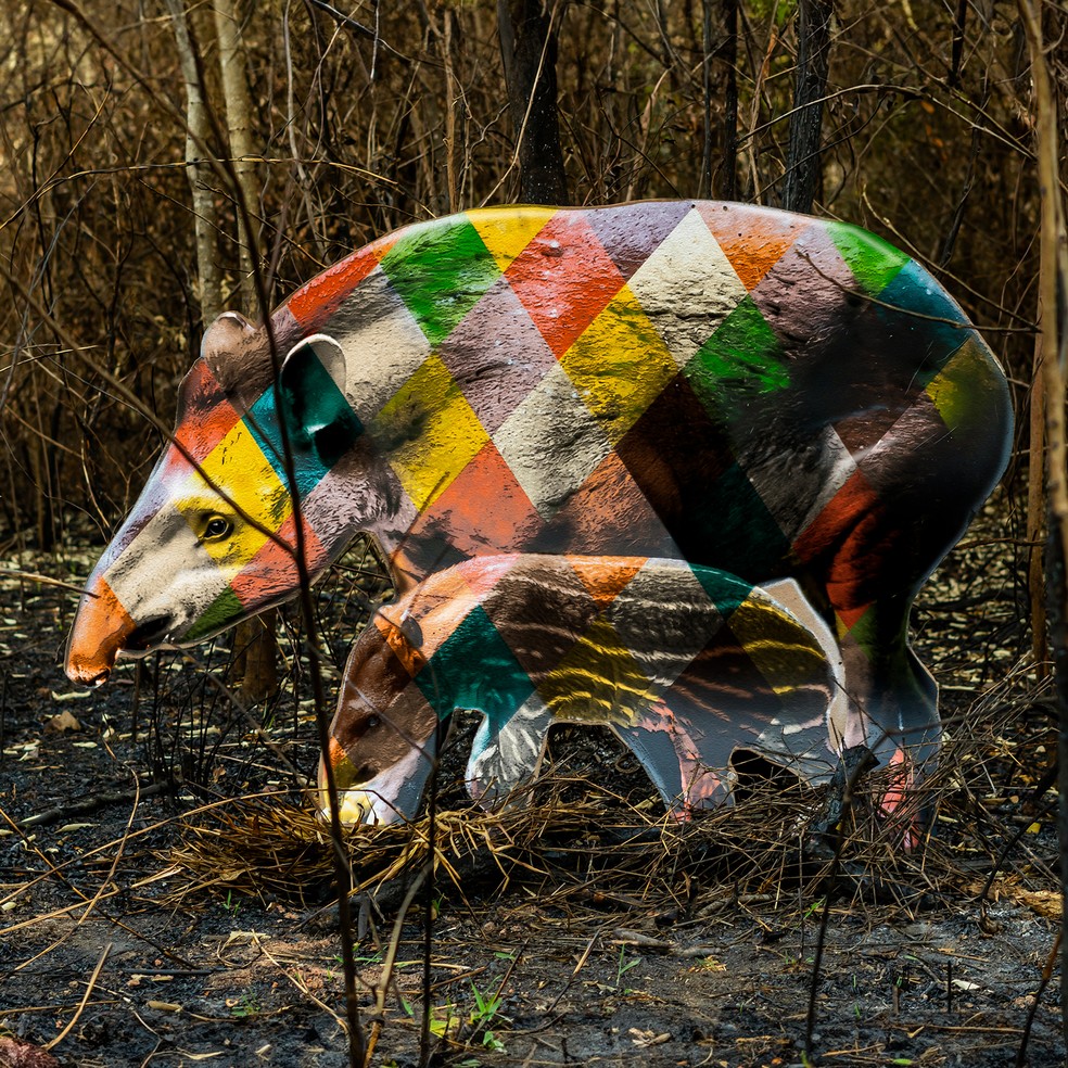 Kobra faz intervenção artística em área de mata queimada para conscientizar sobre fauna e flora — Foto: Turbo Labs/Studio Kobra