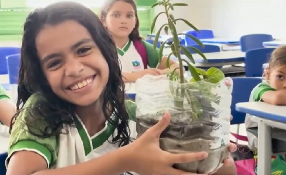 aluna projeto asa verde