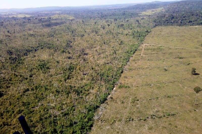 Justiça Federal torna réus trio acusado de desmatar 2,3 mil hectares no Pará