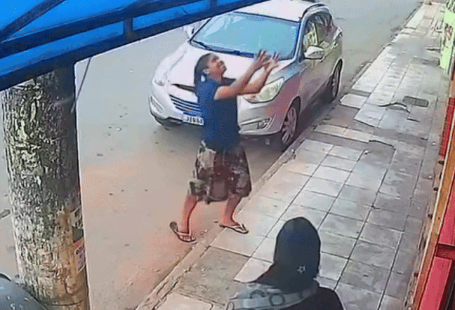 Mulher salva cachorro que caiu de prédio no DF; veja VÍDEO