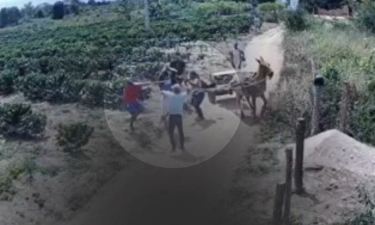 Homem é morto a pauladas e esposa aponta parentes como suspeitos em briga por herança na Bahia; vídeo mostra crime 