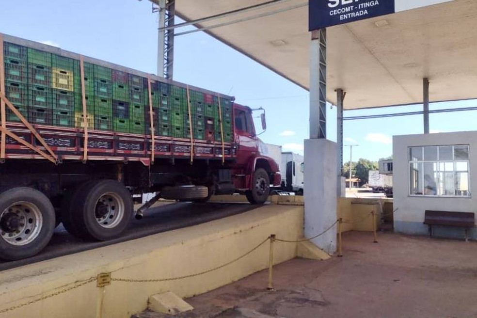 Carga com 11 toneladas de açaí sem nota fiscal é apreendida no Pará — Foto: Divulgação