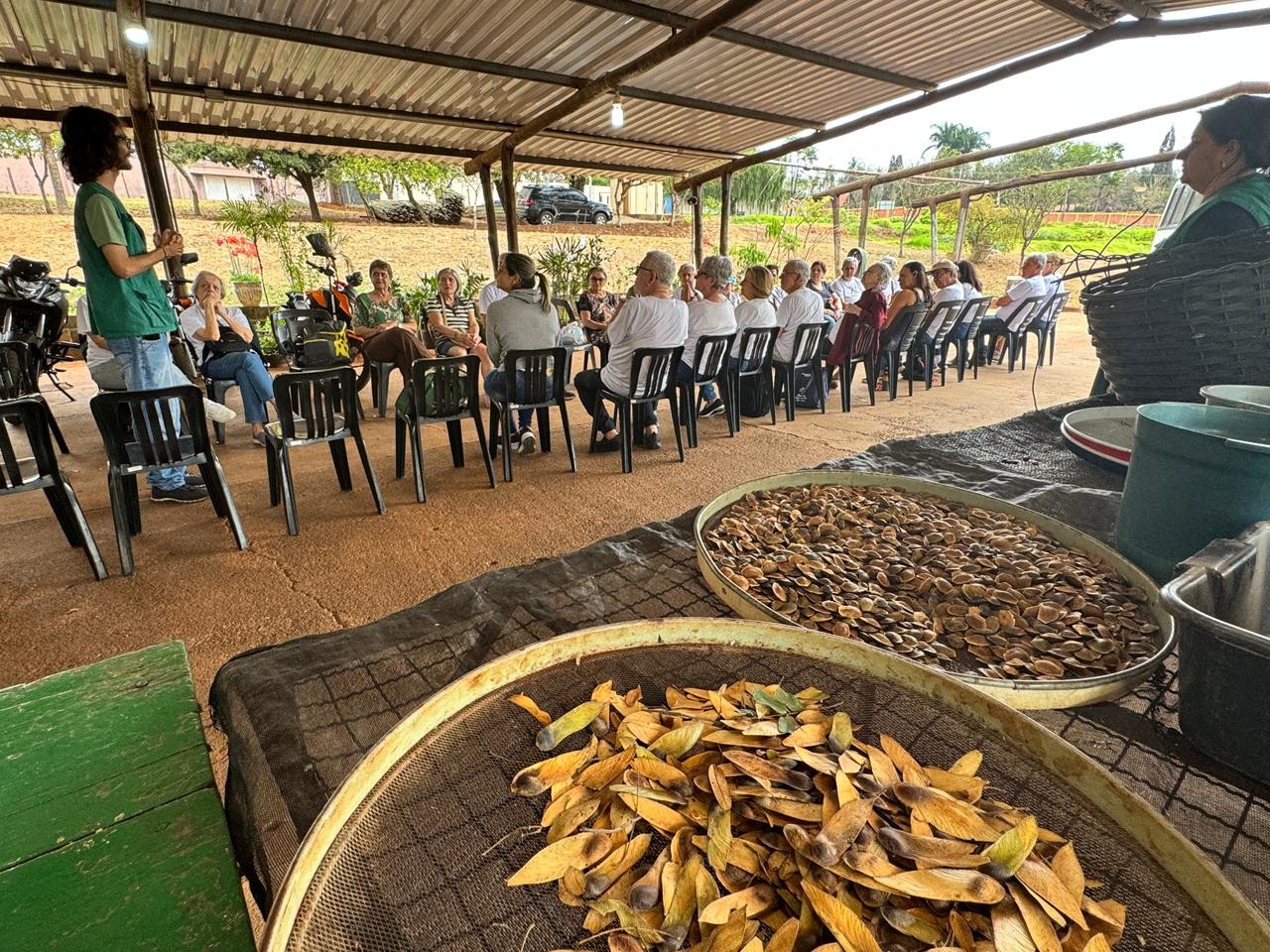 Educação Ambiental de Piracicaba perde 75% dos funcionários em um ano e suspende atividades