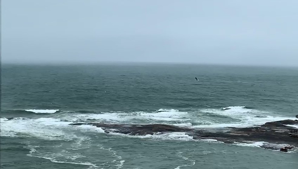 Moradores conseguem ver baleia pulando no mar da varanda de casa, em Guarapari — Foto: Reprodução/Redes sociais