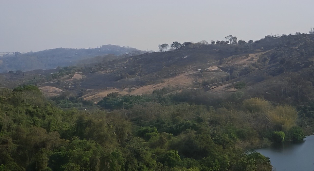 Incêndio no Parque do Pau Furado é controlado após 9 dias de combate; área queimada é maior que 1.400 campos de futebol