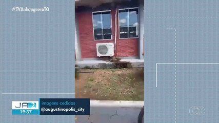 Jacaré aparece em escola e é flagrado por alunos em Augustinópolis