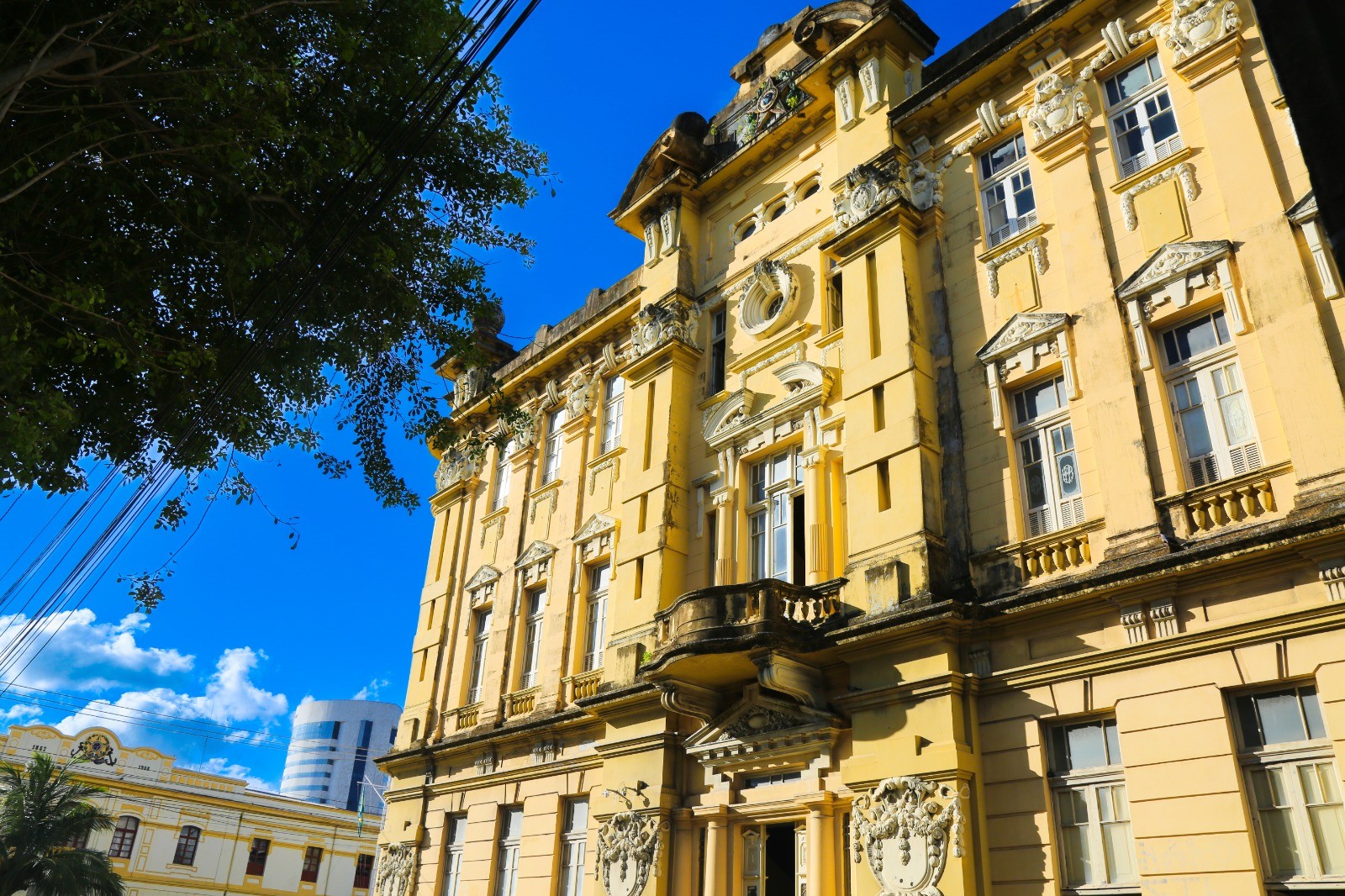 Pernambuco oferece 1.560 bolsas de estudo de até R$ 500 em cursos de graduação; saiba quem tem direito