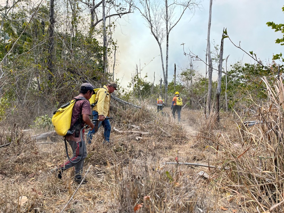 Brigadistas e voluntários apagam fogo em Amajari — Foto: Samantha Rufino/g1 RR