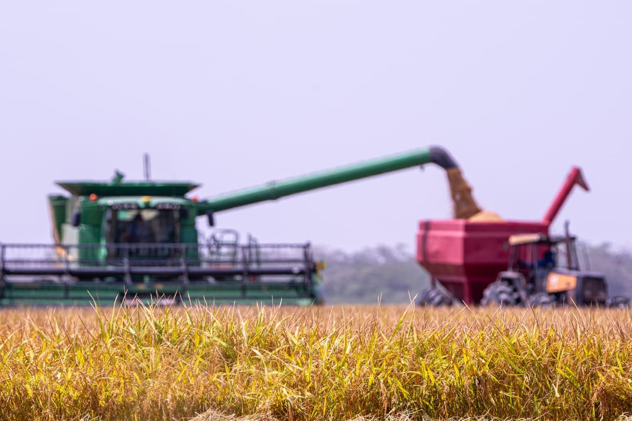 Plantio de soja deve crescer 9,4% em Roraima em 2026, estima Secretaria de Agricultura