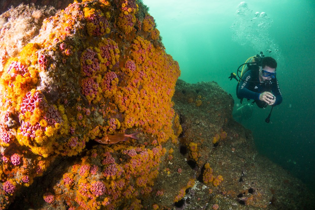 Estudantes de Santos vão atuar na prática para o monitoramento dos oceanos  - Diário do Litoral